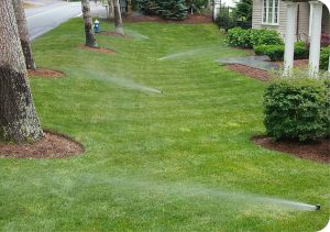 Irrigation